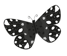Black White Butterfly Vector Background