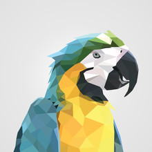 Abstract Colorful Low Polygon Macaw Parrot Head. Vector Illustration