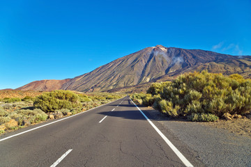 Wall Mural - Road to volcano El Teide