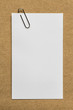 Steel paper clip with Blank white paper