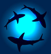 Vector background with floating sharks