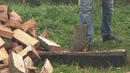 Wall Mural - Man cutting firewood logs with axe in home backyard