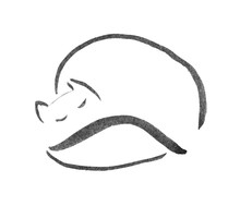 Sleeping Cat Ink Sketch