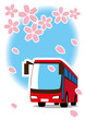 桜　バスで観光