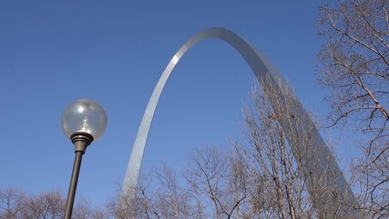 Fototapete - Downtown Saint Louis with Gateway Arch