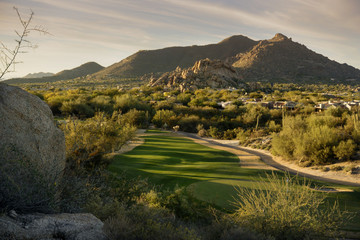 Arizona desert landscape scene,Scottsdale,AZ