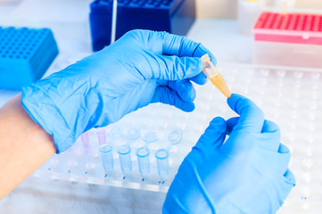 Hands scientist chemist (biologist, geneticist) with a test tube and plate in modern laboratory