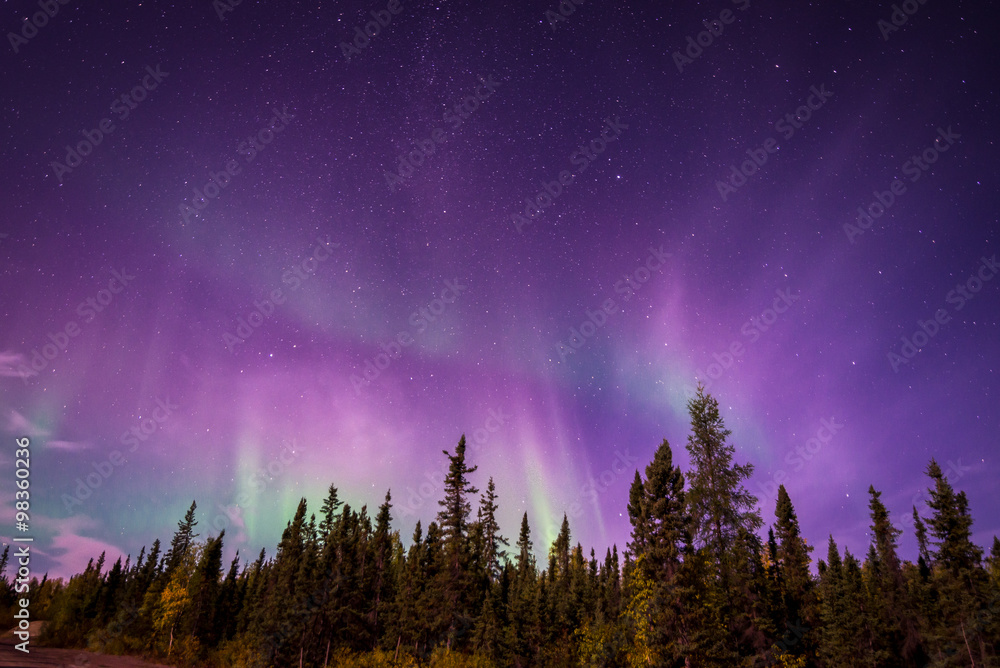 The amazing night skies over Yellowknife, Northwest Territories of Canada putting on an aurora borealis show.  - obrazy, fototapety, plakaty 