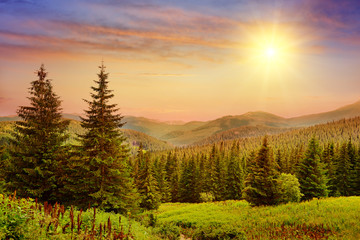 Wall Mural - Beautiful sunrise in the mountains