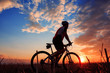 © Aleksey - mountain biker silhouette in sunrise