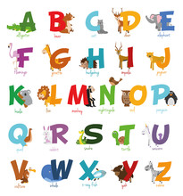 Ilustración De Vector Alfabeto Ilustrado Con Animales Para Niños. Abecedario Inglés. Aprender A Leer.