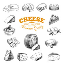 Vector Hand Drawn Illustration With Cheeses .
