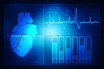 Human Heart - Anatomy of Human Heart