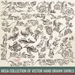 © Mary fleur - Collection of vector hand drawn flourishes in engraved style. Me