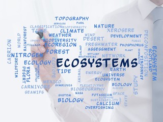 Sticker - Ecosystems