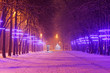 Izmailovo Park of Culture and Recreation with the New Year and Christmas lighting installations in winter blizzard night
