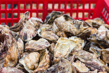 Wall Mural - Oysters market in Cancale, France