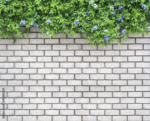 Plakat na zamówienie Decorative green garden on a brick wall