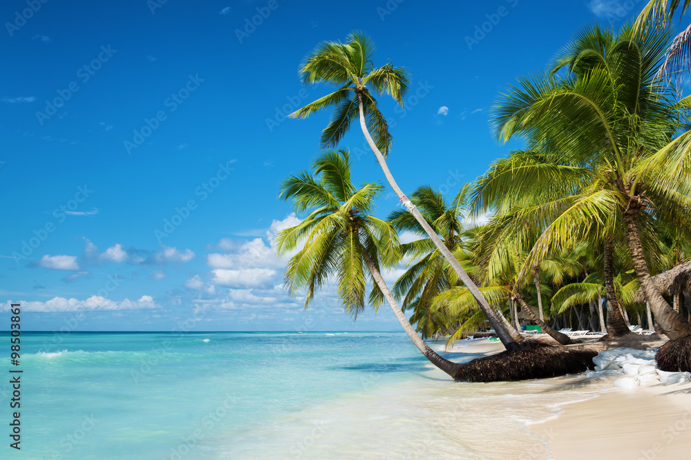Caribbean beach in Saona island, Dominican Republic - obrazy, fototapety, plakaty 