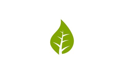 Wall Mural -  green leaf company logo