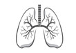 Lung symbol gray color on isolated background for logo design, web icon and other job about medical and health.