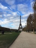 Fototapeta Boho - Inverno a Parigi, Torre Eiffel