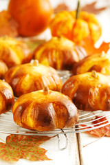 Wall Mural - Pumpkin buns