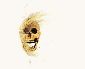 Wall Mural - skull sand storm effect