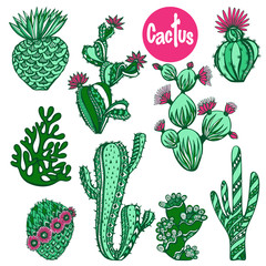 Canvas Print - Color cactus set