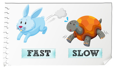 Poster - Opposite adjectives fast and slow