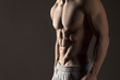 © vladimirfloyd - Muscular male torso on a gray background