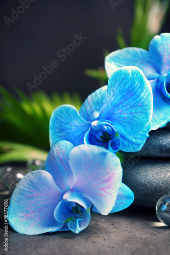 Fototapeta na wymiar Beautiful spa composition with blue orchid and stones
