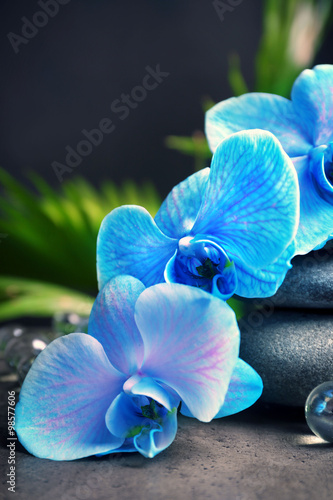 Naklejka na kafelki Beautiful spa composition with blue orchid and stones