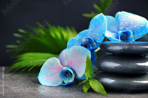 Naklejka na meble Beautiful spa composition with blue orchid and stones