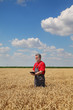 © sima - Farmer or agronomist inspect wheat field using tablet, harvest time