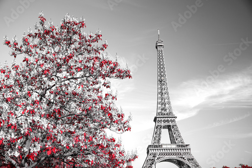 Naklejka na szybę infrared photography Eiffel Tower