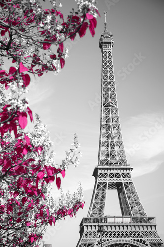 Foto-Lamellenvorhang - infrared photography Eiffel Tower (von Aliaksei)