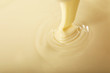 © Africa Studio - Background of condensed milk in a bowl, close-up