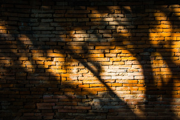 Wall Mural - Old brick wall with black shadow