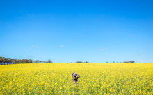 Girl Standing In Canola Field