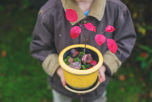 Boy Holding Flowerpot With Small Tree
