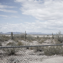 Desert, Arizona, America, USA