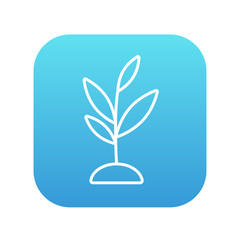 Poster - Sprout line icon.