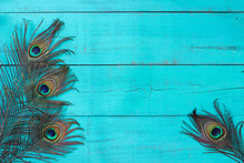Blank Rustic Antique Teal Blue Wood Sign With Peacock Feathers