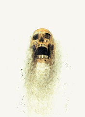 Wall Mural - skull sand storm effect