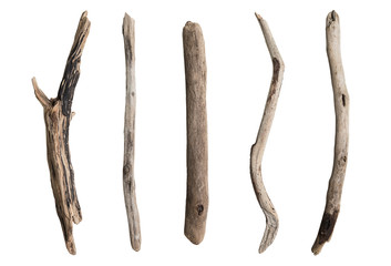set of dry tree branch