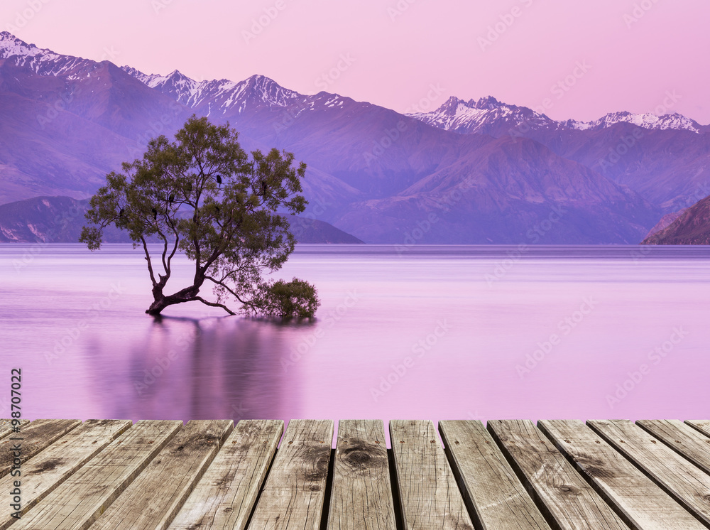 to-drzewo-wanaka