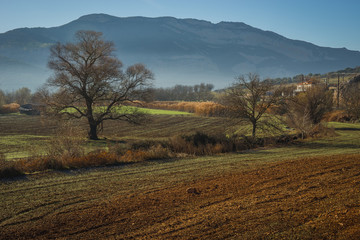 Early morning in the mountains, field and fog