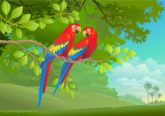 A couple of lovely macaw hanging on a tree branch 