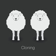 Illustration of sheep and clone of sheep on dark background